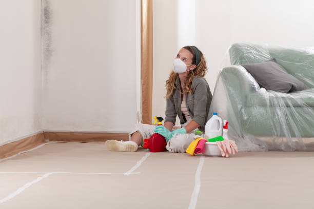 Reliable Crawl Space Mold Removal contractor in Mountlake Terrace, WA by WQB Mold Removal